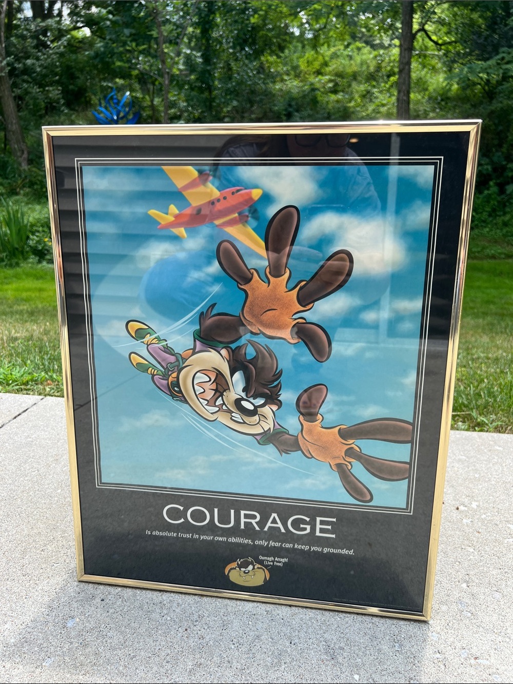 RARE 1998 Looney Tunes Tasmanian Devil Taz Courage Gold Metal Framed Poster